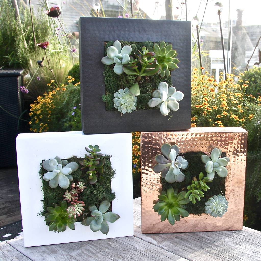 living wall planter by london garden trading