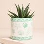 Green Seashells Ceramic Mini Planter, thumbnail 1 of 2