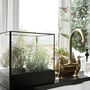 Antique Brass And Glass Display Box Lantern, thumbnail 3 of 8