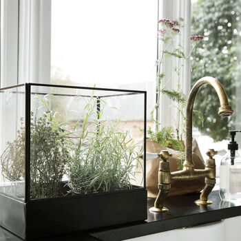 Antique Brass And Glass Display Box Lantern, 3 of 8