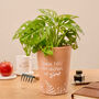 Thank You Teacher Gift Plant Pot For Indoor Plants, thumbnail 1 of 4