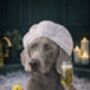 Dog Bathroom Portrait From Your Own Photo, thumbnail 2 of 4