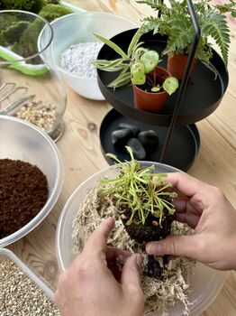 Carnivorous Plant Terrarium Workshop, Manchester, 8 of 12