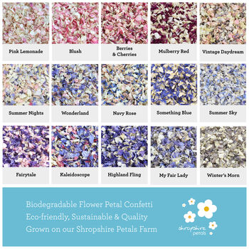 25 Biodegradable Wedding Petal Confetti Cones, 3 of 12