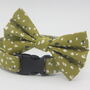 Green Smudge Dog Bow Tie, thumbnail 6 of 7