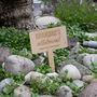 Personalised Solid Cherry Wood Allotment Sign, thumbnail 4 of 8