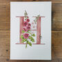 H Is For Hollyhocks Botanicall Initial, Personalised, thumbnail 2 of 6