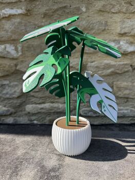 Monstera Variegata Plant With Six Leaf Coasters, 10 of 11