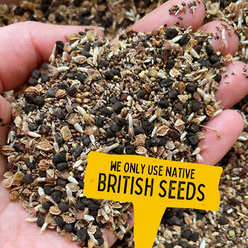 Pot Plant Plantable Seed Card, 5 of 7