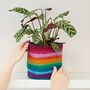 Felt Handmade Rainbow Plant Pot Cover, thumbnail 2 of 2