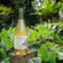 Non Alcoholic Sparkling Honey Wine 750ml—Original Brut, thumbnail 3 of 12