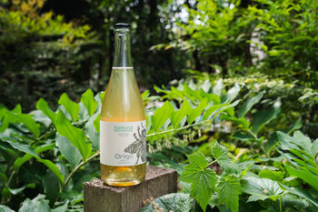 Non Alcoholic Sparkling Honey Wine 750ml—Original Brut, 3 of 12