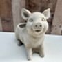 Adorable Pig Plant Pot Stone Indoor Planter Fun Pig Gift, thumbnail 8 of 10