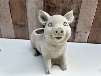 Adorable Pig Plant Pot Stone Indoor Planter Fun Pig Gift, 8 of 10