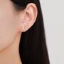 Mismatched Rabbit And Carrot Stud Earrings In Sterling Silver With Partial Rose Gold, thumbnail 6 of 12