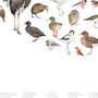 100 Birds A2 Print, thumbnail 4 of 5