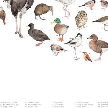 100 Birds A2 Print, 4 of 5