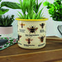 Bee Enamel Plant Pot, thumbnail 3 of 6