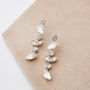 Swarovski Crystal Frosted Leaf Drop Earrings, thumbnail 6 of 6