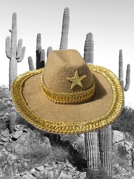 Brown And Gold Pet Cowboy Hat, 2 of 7