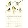 2022 Calendar Birds, Bugs And Bees, thumbnail 11 of 12