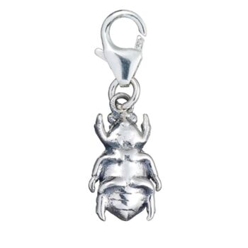 Solid Sterling Silver Jewel Chafer Beetle Charm, 2 of 8
