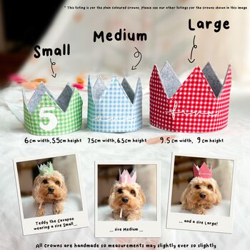Liberty Print Dog Birthday Crown, 6 of 7