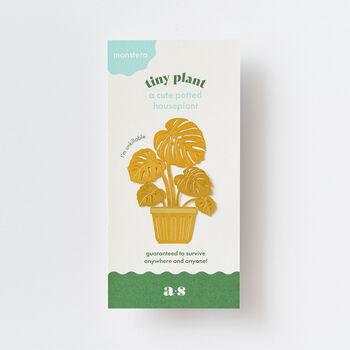 Monstera Tiny Plant Brass Ornament For Houseplant Lovers, 2 of 4