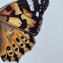 Illustrated Painted Lady Butterfly Card Blank Inside, thumbnail 5 of 6