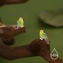 Sterling Silver Green Enamel Budgie Stud Earring, thumbnail 3 of 11
