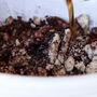 Baking Kit | Salted Chocolate Tart Foodie Gift, thumbnail 4 of 8