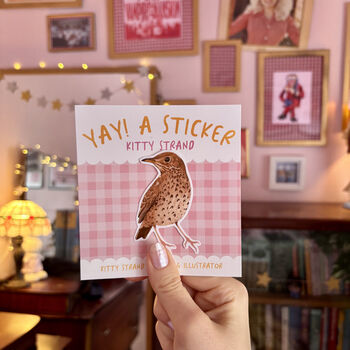 Garden Bird Sticker, Gift Set. Of Three Vinyl Stickers, 7 of 11