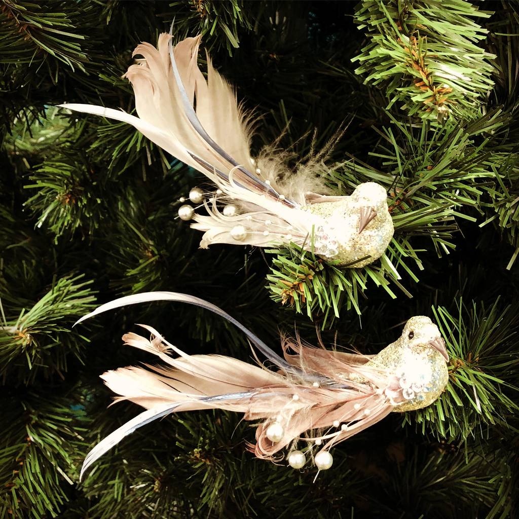 Set Of Two Feather And Bead Clip On Bird Decorations By Garden