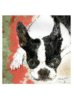 Bespoke Dog Portrait, 6 of 6