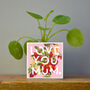 'Love You Mum' Mother's Day Plant Pot And Houseplant, thumbnail 4 of 7
