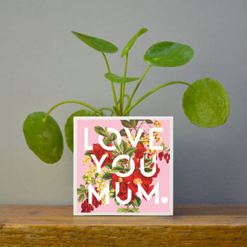 'Love You Mum' Mother's Day Plant Pot And Houseplant, 4 of 7