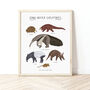 Long Nosed Creatures Print, thumbnail 1 of 5