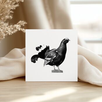 Black Grouse Wildlife Greeting Card, 4 of 7