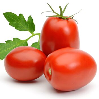 Tomato Plants 'Plum Roma' Six X Large Plug Plant Pack, 5 of 5