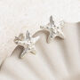 Sterling Silver Star Fish Studs, thumbnail 1 of 5