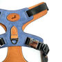 Blue Leather Dog Harness, thumbnail 5 of 6