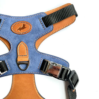 Blue Leather Dog Harness, 5 of 6