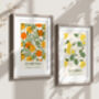 Set Of Two Oranges And Lemons French Art Prints, thumbnail 1 of 5