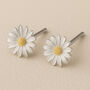 Sterling Silver April Birth Flower Daisy Stud Earrings, thumbnail 1 of 5