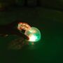 Underwater Disco Lightshow, thumbnail 5 of 7