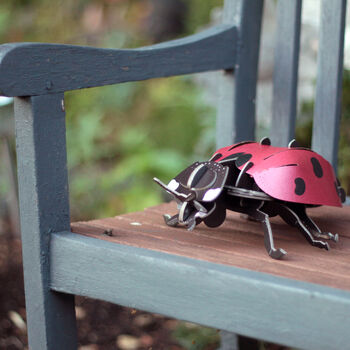 Build Your Own Personalised Ladybird Kit, 8 of 12