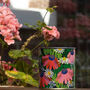 Wildflower Grow Kit With Forget Me Not Or Chamomile Seeds, thumbnail 4 of 10