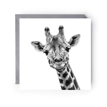 Maya The Giraffe Luxury Blank Greeting Card, 2 of 5