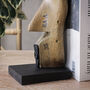 Set Of Vintage Style Shoe Stretcher Bookends, thumbnail 3 of 5