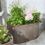 Set Of Three Copper And Iron Planters, thumbnail 5 of 6